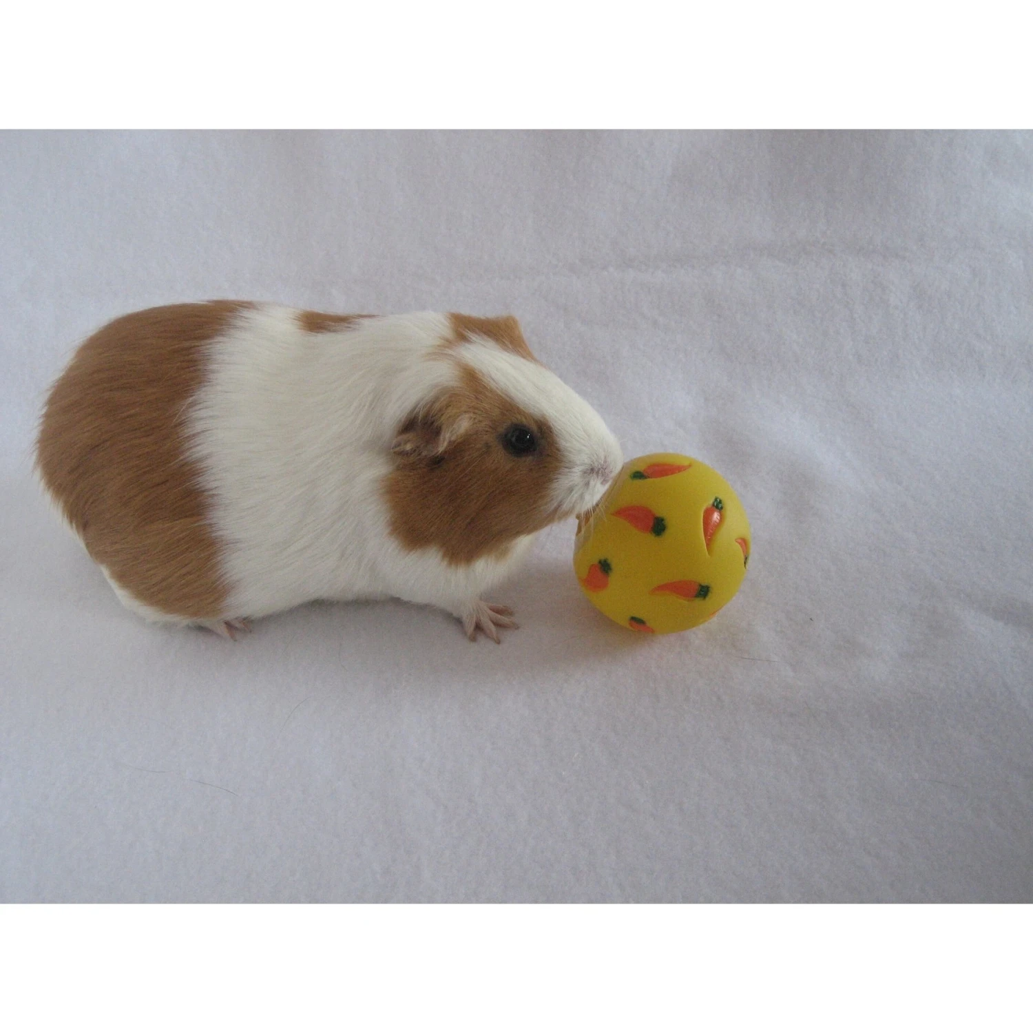 Wheeky Pets Small Pet Wheeky Toy, One Size, Yellow 2 Wheeky Pets Small Pet Wheeky Toy, One Size, Yellow - Image 2
