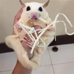 Exotic Nutrition Critter Selects Omega Yum Small Pet Fish Sticks, 0.6-oz Bag -MiniMates Shop 364101 PT4. AC SS1800 V1643842305