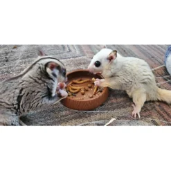 Exotic Nutrition Critter Selects EZ-Small Pet Worm Treat, 1.41-oz Bag -MiniMates Shop 364103 PT3. AC SS1800 V1643842615