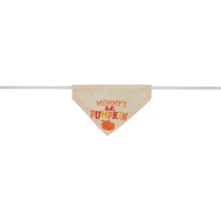 Frisco Mommy's Lil Pumpkin Small Pet Bandana -MiniMates Shop 364460 PT5. AC SS1800 V1657657335