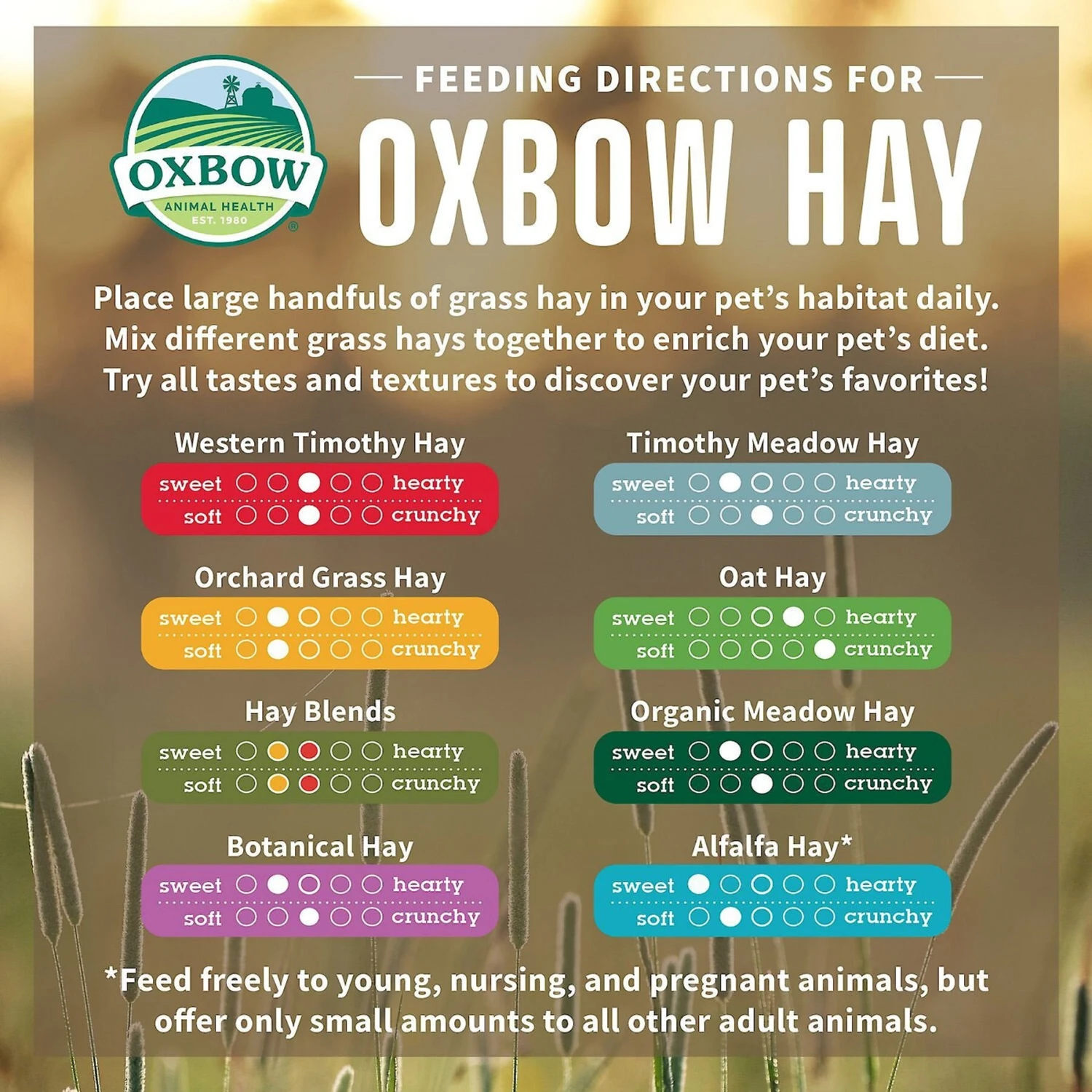 Oxbow Animal Health Oxbow Hay Blends Western Timothy & Orchard & Oxbow Botanical Hay Small Animal Food 9 Oxbow Animal Health Oxbow Hay Blends Western Timothy & Orchard & Oxbow Botanical Hay Small Animal Food - Image 9