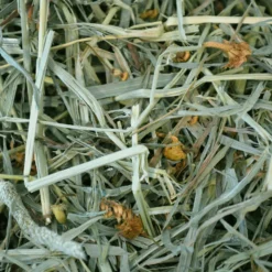 Oxbow Botanical Hay Small Animal Food & Oxbow Oat Hay Small Animal Food -MiniMates Shop 367473 PT4. AC SS1800 V1644523607