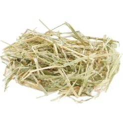 Oxbow Botanical Hay Small Animal Food & Oxbow Oat Hay Small Animal Food -MiniMates Shop 367473 PT7. AC SS1800 V1644524207