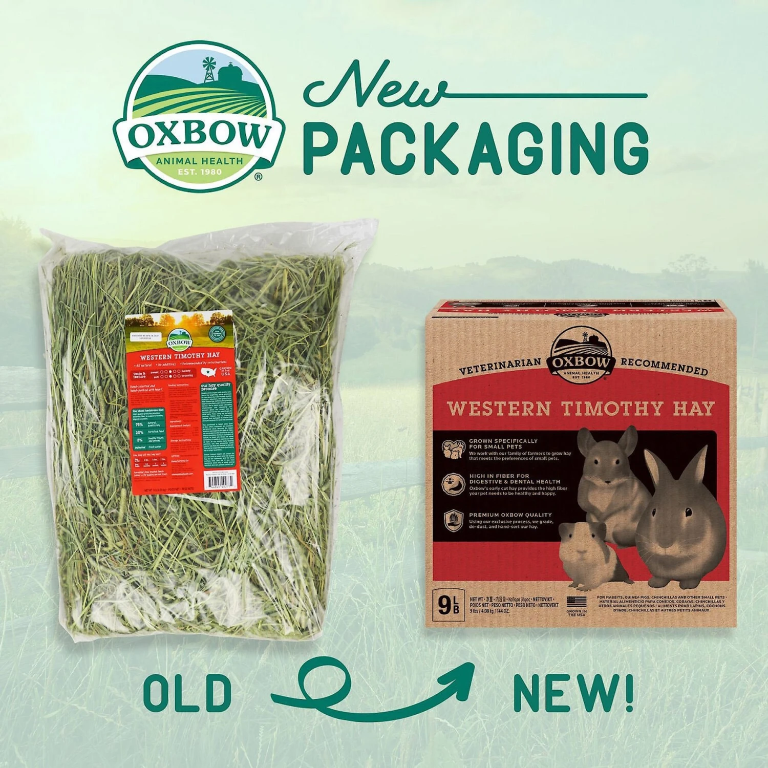 Oxbow Animal Health Western Timothy Hay All Natural Hay For Rabbits, Guinea Pigs, Chinchillas, Hamsters & Gerbils & Oxbow Pure Comfort Small Animal Bedding, White 4 Oxbow Animal Health Western Timothy Hay All Natural Hay For Rabbits, Guinea Pigs, Chinchillas, Hamsters & Gerbils & Oxbow Pure Comfort Small Animal Bedding, White - Image 4
