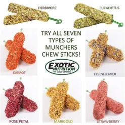 Exotic Nutrition Munchers Sticks With Strawberry Small Pet Treats 10 Exotic Nutrition Munchers Sticks With Strawberry Small Pet Treats -MiniMates Shop 368968 PT4. AC SS1800 V1645118810