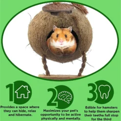 SunGrow Hamster & Gerbil Coconut Hut With Ladder Hideout Accessory Small Animal House, 5-in 8 SunGrow Hamster & Gerbil Coconut Hut With Ladder Hideout Accessory Small Animal House, 5-in -MiniMates Shop 368981 PT2. AC SS1800 V1645054634