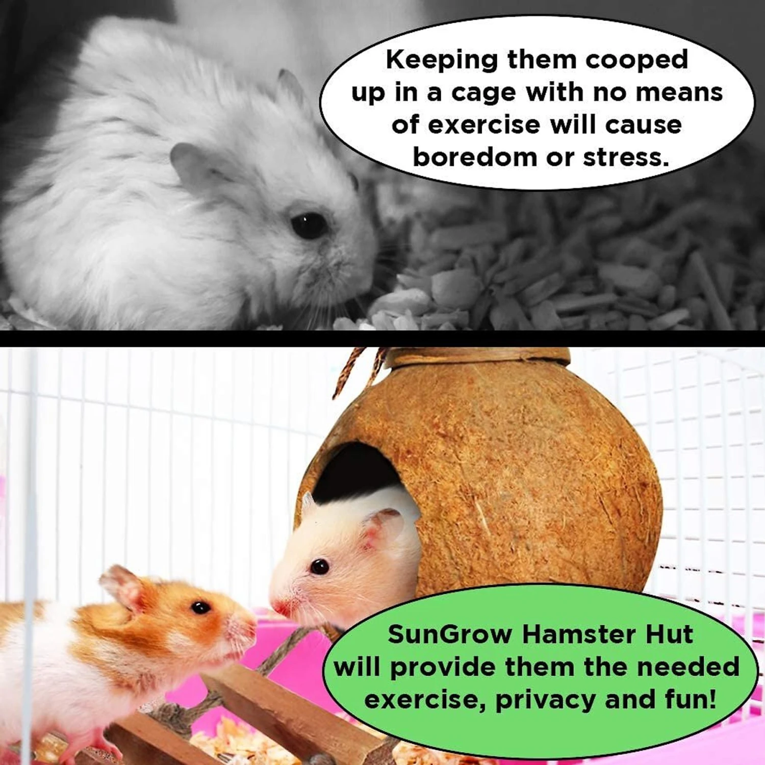 SunGrow Hamster & Gerbil Coconut Hut With Ladder Hideout Accessory Small Animal House, 5-in 4 SunGrow Hamster & Gerbil Coconut Hut With Ladder Hideout Accessory Small Animal House, 5-in - Image 4