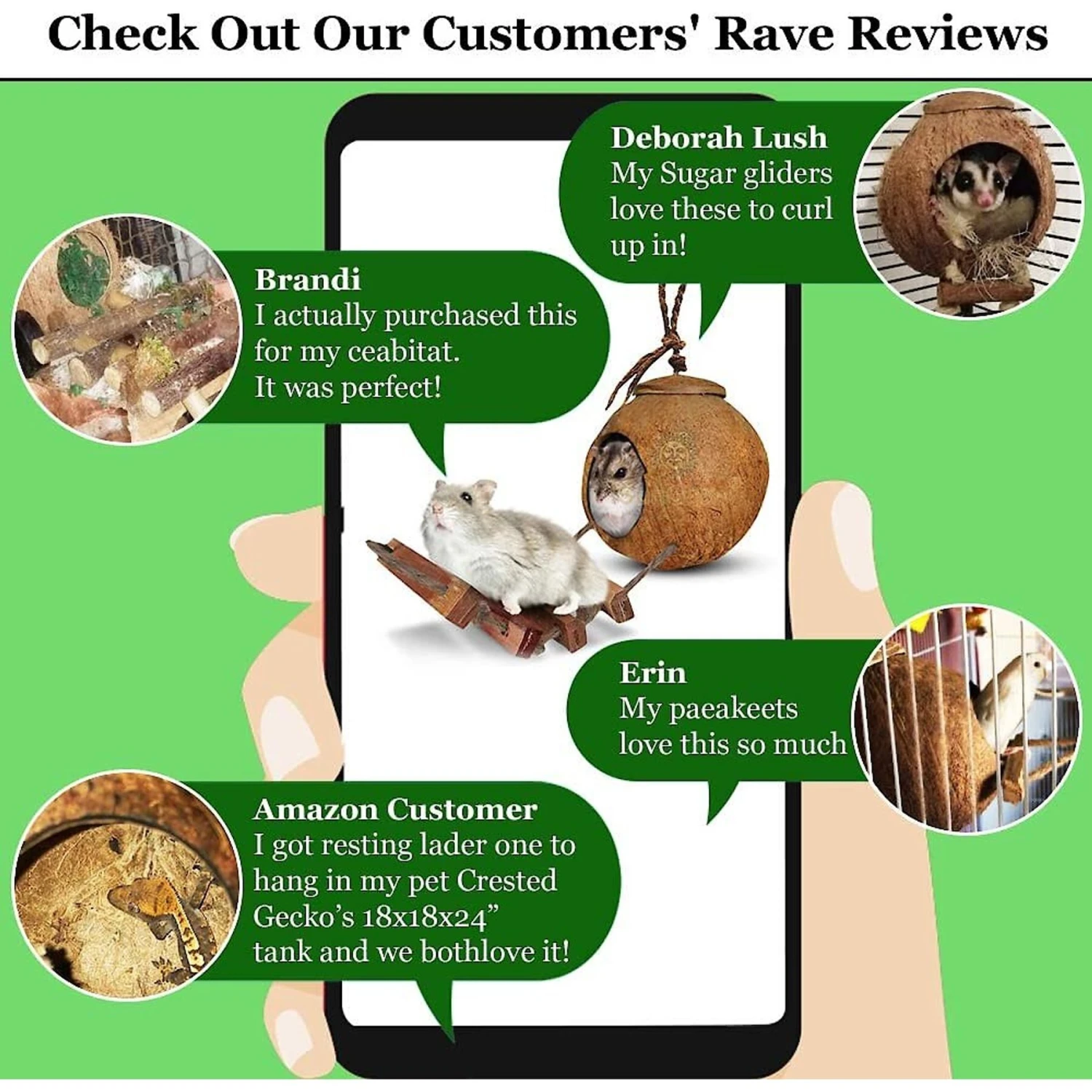 SunGrow Hamster & Gerbil Coconut Hut With Ladder Hideout Accessory Small Animal House, 5-in 5 SunGrow Hamster & Gerbil Coconut Hut With Ladder Hideout Accessory Small Animal House, 5-in - Image 5