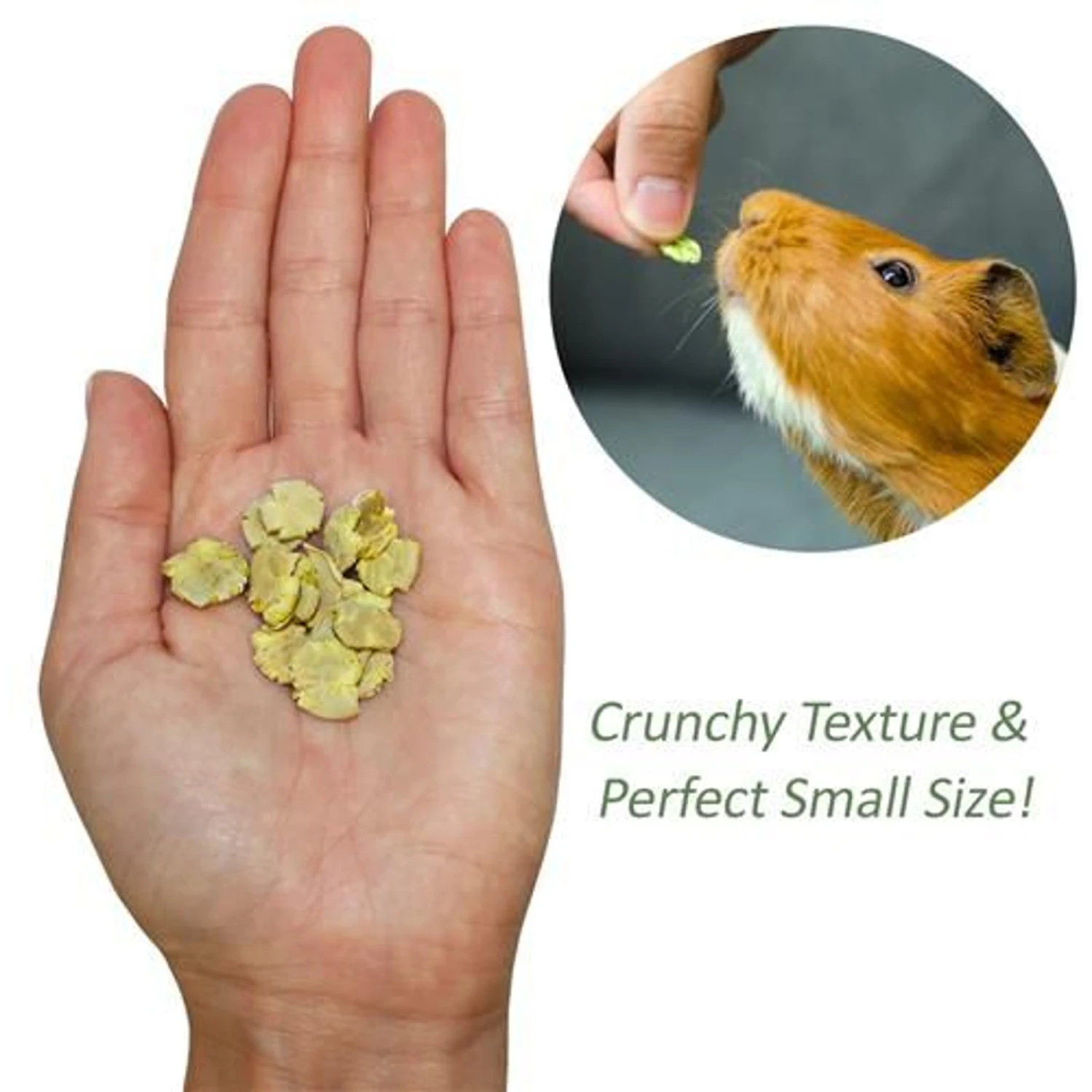 Exotic Nutrition Green Pea Flakes Small Pet Treat, 3-oz Bag 5 Exotic Nutrition Green Pea Flakes Small Pet Treat, 3-oz Bag - Image 5