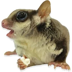 Exotic Nutrition Yogu Drops Small Pet Treat, 14-oz Bag -MiniMates Shop 369381 PT4. AC SS1800 V1648159886