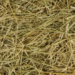 Frisco Small Pet Timothy Hay 8 Frisco Small Pet Timothy Hay -MiniMates Shop 373037 PT3. AC SS1800 V1653577306