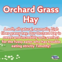 Sweet Meadow Farm Orchard Grass Hay Small Pet Food, 3-lb Bag 10 Sweet Meadow Farm Orchard Grass Hay Small Pet Food, 3-lb Bag -MiniMates Shop 506730 PT4. AC SS1800 V1665438952