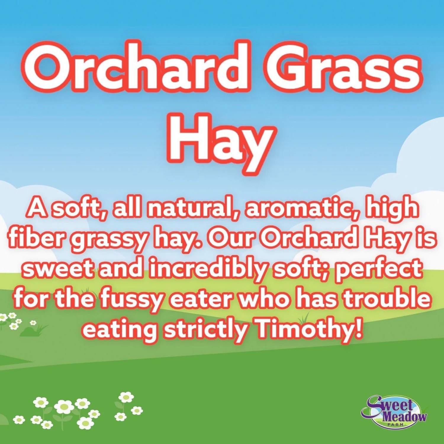 Sweet Meadow Farm Orchard Grass Hay Small Pet Food, 3-lb Bag 5 Sweet Meadow Farm Orchard Grass Hay Small Pet Food, 3-lb Bag - Image 5