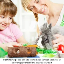 SunGrow Rabbit & Gerbil Chew Dwarf Hamster Hideout & Play Tunnel Wooden Log, 8-in -MiniMates Shop 519678 PT3. AC SS1800 V1657658365