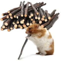 SunGrow Natural Apple Snack Sticks Small-Pet Dental Chew Treats, 40 Count