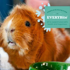 Oxbow Animal Healthy Essentials Natural Pellets Senior Guinea Pig Food -MiniMates Shop 521926 PT5. AC SS1800 V1651864309