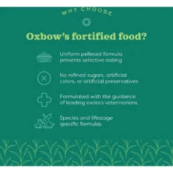 Oxbow Animal Healthy Essentials Natural Pellets Senior Guinea Pig Food -MiniMates Shop 521926 PT6. AC SS1800 V1651864582