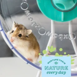 Oxbow Animal Health Enriched Life 2 In 1 Quiet Runner Small Animal Toy 10 Oxbow Animal Health Enriched Life 2 In 1 Quiet Runner Small Animal Toy -MiniMates Shop 531838 PT4. AC SS1800 V1652450212