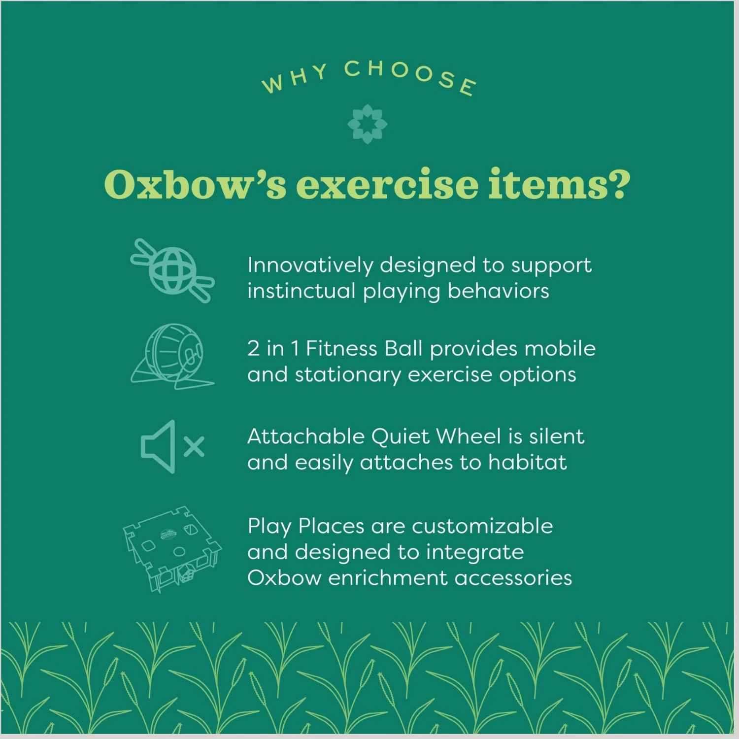 Oxbow Animal Health Enriched Life 2 In 1 Quiet Runner Small Animal Toy 6 Oxbow Animal Health Enriched Life 2 In 1 Quiet Runner Small Animal Toy - Image 6