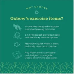 Oxbow Animal Health Enriched Life Run & Hide Small Animal Toy -MiniMates Shop 531870 PT4. AC SS1800 V1652466996