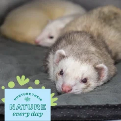 Oxbow Animal Health Enriched Life Washable Floor Mat 7 Oxbow Animal Health Enriched Life Washable Floor Mat -MiniMates Shop 531902 PT3. AC SS1800 V1652450504