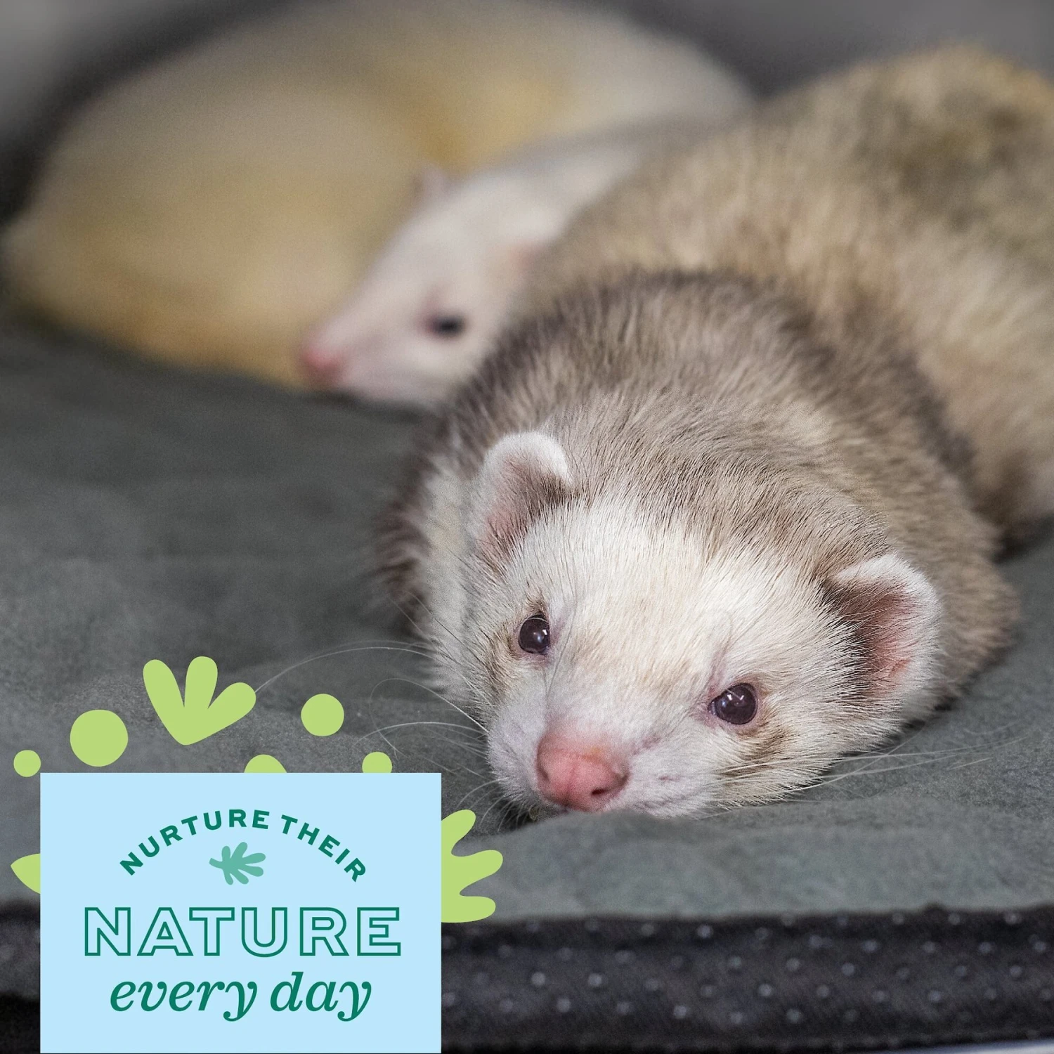 Oxbow Animal Health Enriched Life Washable Floor Mat 4 Oxbow Animal Health Enriched Life Washable Floor Mat - Image 4