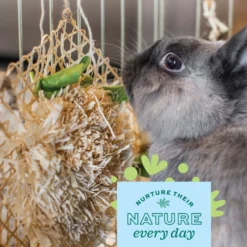 Oxbow Animal Health Enriched Life Honeycomb Hide & Play Small Animal Toy -MiniMates Shop 531918 PT3. AC SS1800 V1657658629