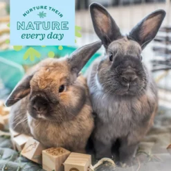 Oxbow Animal Health Enriched Life Ox Blocks Small Animal Toy -MiniMates Shop 531934 PT3. AC SS1800 V1652450484