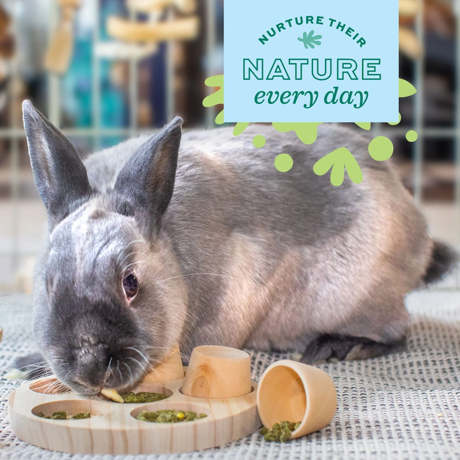 Oxbow Animal Health Enriched Life Natural Activity Mobile Small Animal Toy 4 Oxbow Animal Health Enriched Life Natural Activity Mobile Small Animal Toy - Image 4