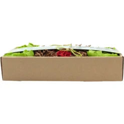 Oxbow Animal Health Enriched Life Garden Dig Box Small Animal Toy -MiniMates Shop 531966 PT2. AC SS1800 V1652450603