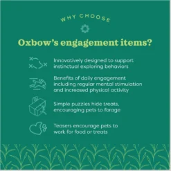 Oxbow Animal Health Enriched Life Garden Dig Box Small Animal Toy -MiniMates Shop 531966 PT5. AC SS1800 V1657658628