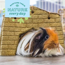 Oxbow Animal Health Enriched Life Timothy Hut Small Animal Toy -MiniMates Shop 532006 PT4. AC SS1800 V1652450790