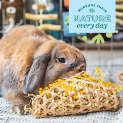 Oxbow Animal Health Enriched Life Celebration Party Pack Small Animal Toy -MiniMates Shop 532046 PT5. AC SS1800 V1652451159