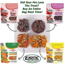 Exotic Nutrition Herbivore Variety Pack Small Pet Treats -MiniMates Shop 534062 PT3. AC SS1800 V1652394401