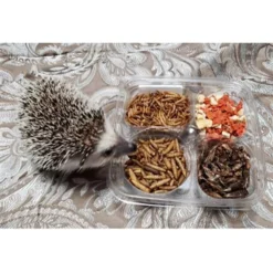 Exotic Nutrition Hedgehog Variety Pack Small Pet Treats -MiniMates Shop 534078 PT6. AC SS1800 V1658201742