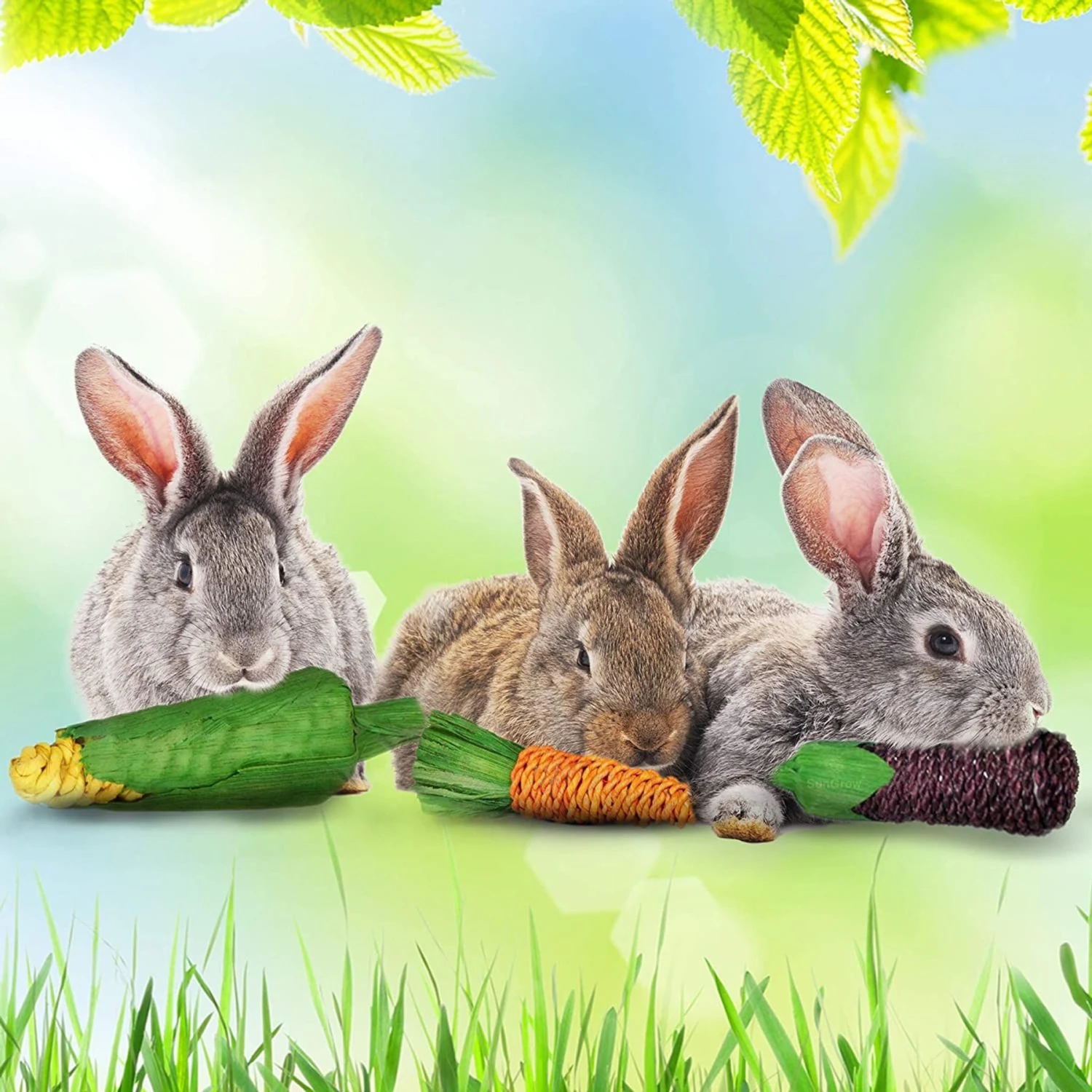 SunGrow Rabbit & Guinea Pig Veggie Chew Small Pet Teeth Grinding Toy, 3 Count 2 SunGrow Rabbit & Guinea Pig Veggie Chew Small Pet Teeth Grinding Toy, 3 Count - Image 2