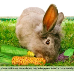 SunGrow Rabbit & Guinea Pig Veggie Chew Small Pet Teeth Grinding Toy, 3 Count 8 SunGrow Rabbit & Guinea Pig Veggie Chew Small Pet Teeth Grinding Toy, 3 Count -MiniMates Shop 536582 PT2. AC SS1800 V1652391982