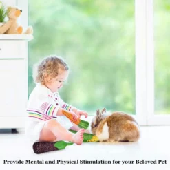 SunGrow Rabbit & Guinea Pig Veggie Chew Small Pet Teeth Grinding Toy, 3 Count 9 SunGrow Rabbit & Guinea Pig Veggie Chew Small Pet Teeth Grinding Toy, 3 Count -MiniMates Shop 536582 PT3. AC SS1800 V1652396785