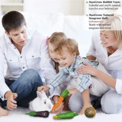 SunGrow Rabbit & Guinea Pig Veggie Chew Small Pet Teeth Grinding Toy, 3 Count 10 SunGrow Rabbit & Guinea Pig Veggie Chew Small Pet Teeth Grinding Toy, 3 Count -MiniMates Shop 536582 PT4. AC SS1800 V1652390482