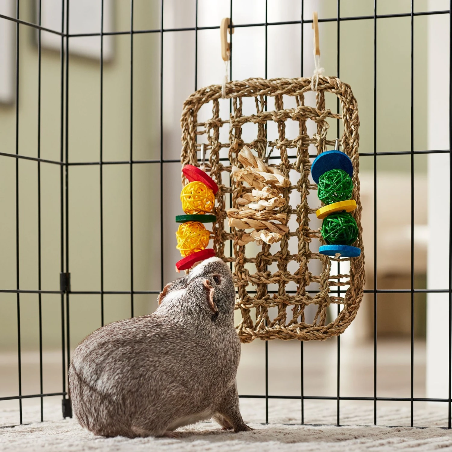 Frisco Spotted Cornleaf Wall Playmat Small Pet Toy 3 Frisco Spotted Cornleaf Wall Playmat Small Pet Toy - Image 3