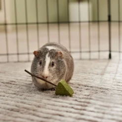 Frisco Hay Trees Small Pet Toy -MiniMates Shop 536894 PT3. AC SS1800 V1668902550