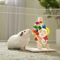 Frisco Activity Play Post Small Pet Toy -MiniMates Shop 536910 PT3. AC SS1800 V1668902494