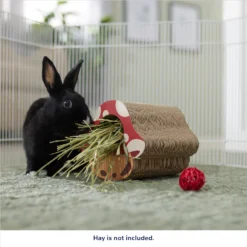 Frisco Mushroom Hide & Chew Small Pet Toy -MiniMates Shop 536926 PT3. AC SS1800 V1669393022