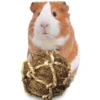 SunGrow Small-Pet Guinea Pig & Chinchilla Coconut Fiber Activity Chew Play Ball Fun Treat & Cage Entertainment