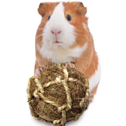 SunGrow Small-Pet Guinea Pig & Chinchilla Coconut Fiber Activity Chew Play Ball Fun Treat & Cage Entertainment
