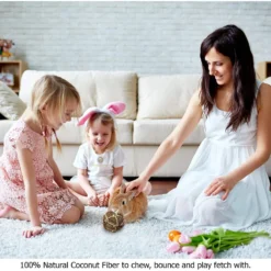 SunGrow Small-Pet Guinea Pig & Chinchilla Coconut Fiber Activity Chew Play Ball Fun Treat & Cage Entertainment 9 SunGrow Small-Pet Guinea Pig & Chinchilla Coconut Fiber Activity Chew Play Ball Fun Treat & Cage Entertainment -MiniMates Shop 538366 PT3. AC SS1800 V1652470652