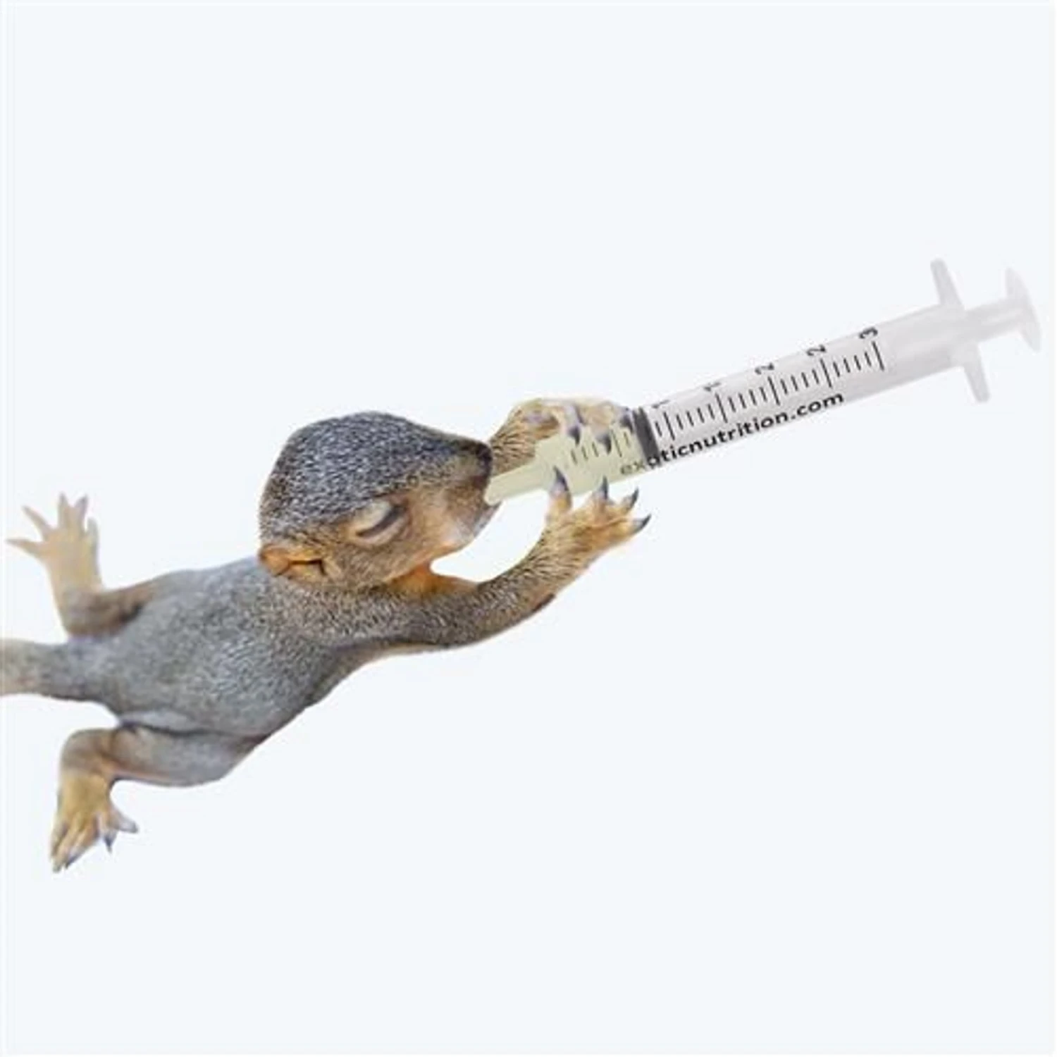 Exotic Nutrition O-Ring Syringes, 3-ml Luer Tip 9 Exotic Nutrition O-Ring Syringes, 3-ml Luer Tip - Image 9