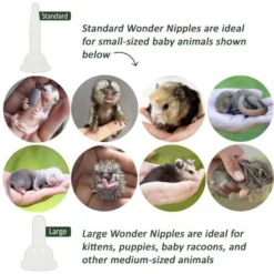 Exotic Nutrition Wonder Nipple & Syringe Set -MiniMates Shop 549926 PT2. AC SS1800 V1658261003