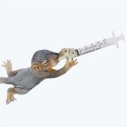 Exotic Nutrition Wonder Nipple & Syringe Set -MiniMates Shop 549926 PT8. AC SS1800 V1657659364