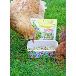 Exotic Nutrition Green Pea Flakes Small Pet Treats, 1-lb 10 Exotic Nutrition Green Pea Flakes Small Pet Treats, 1-lb -MiniMates Shop 570966 PT5. AC SS1800 V1693430878